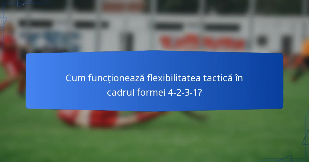 Cum funcționează flexibilitatea tactică în cadrul formei 4-2-3-1?